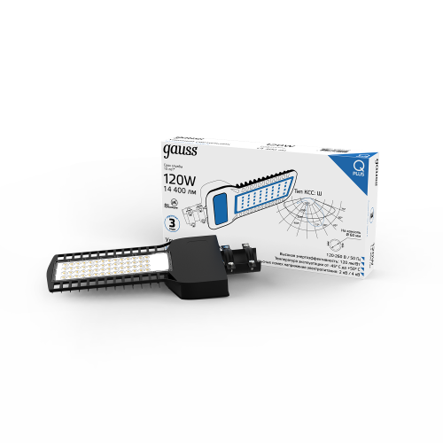 Светильник консольный GAUSS Qplus 629535320 черный