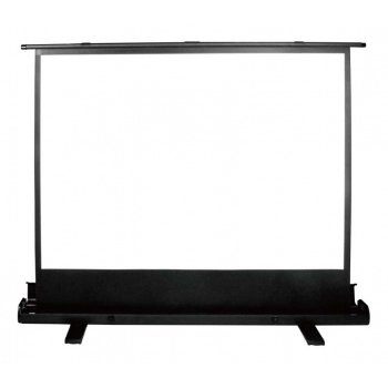 Экран Cactus 120x160см FloorExpert CS-PSFLE-160X120 4:3 напольный рулонный