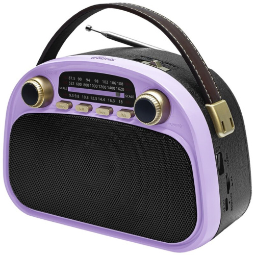 Радиоприемник RITMIX RPR-040 Lavender