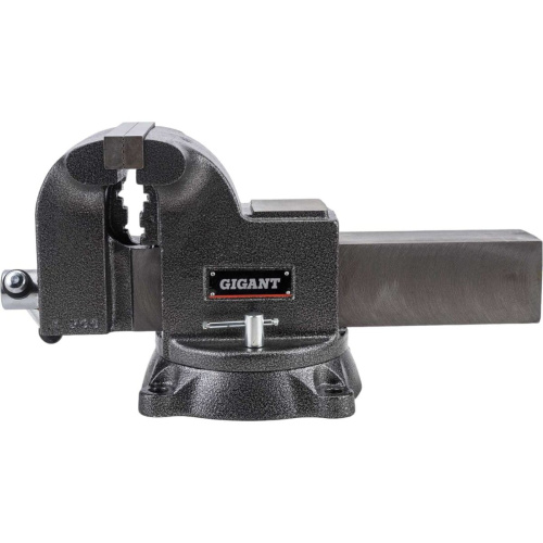 Тиски слесарные Gigant Professional GP-BV-200