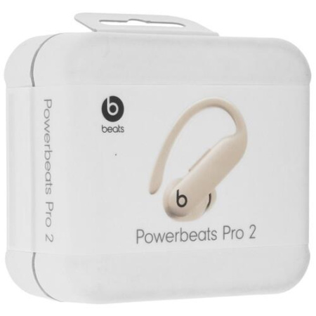 Наушники TWS Beats Powerbeats Pro 2 серый