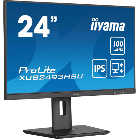 Монитор Iiyama ProLite XUB2493HSU-B7 черный