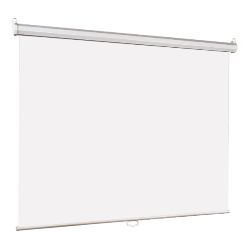 Экран Lumien 150x150см Eco Picture LEP-100101 1:1 настенно-потолочный рулонный